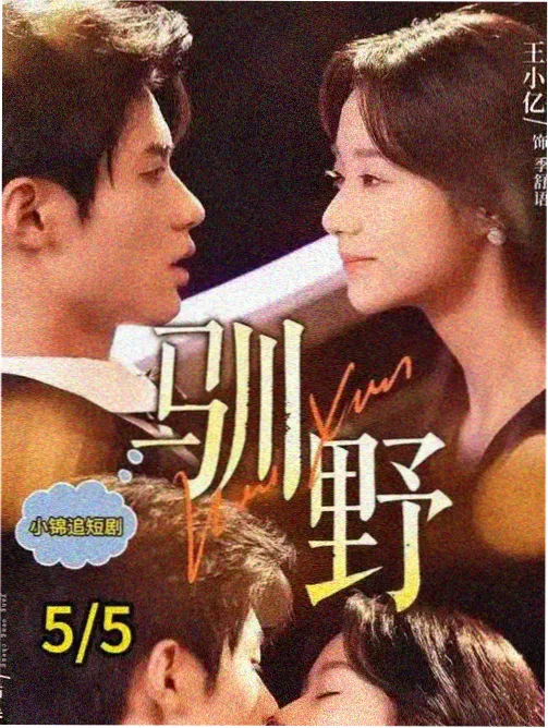 人气榜第二名剧集长风渡口海报